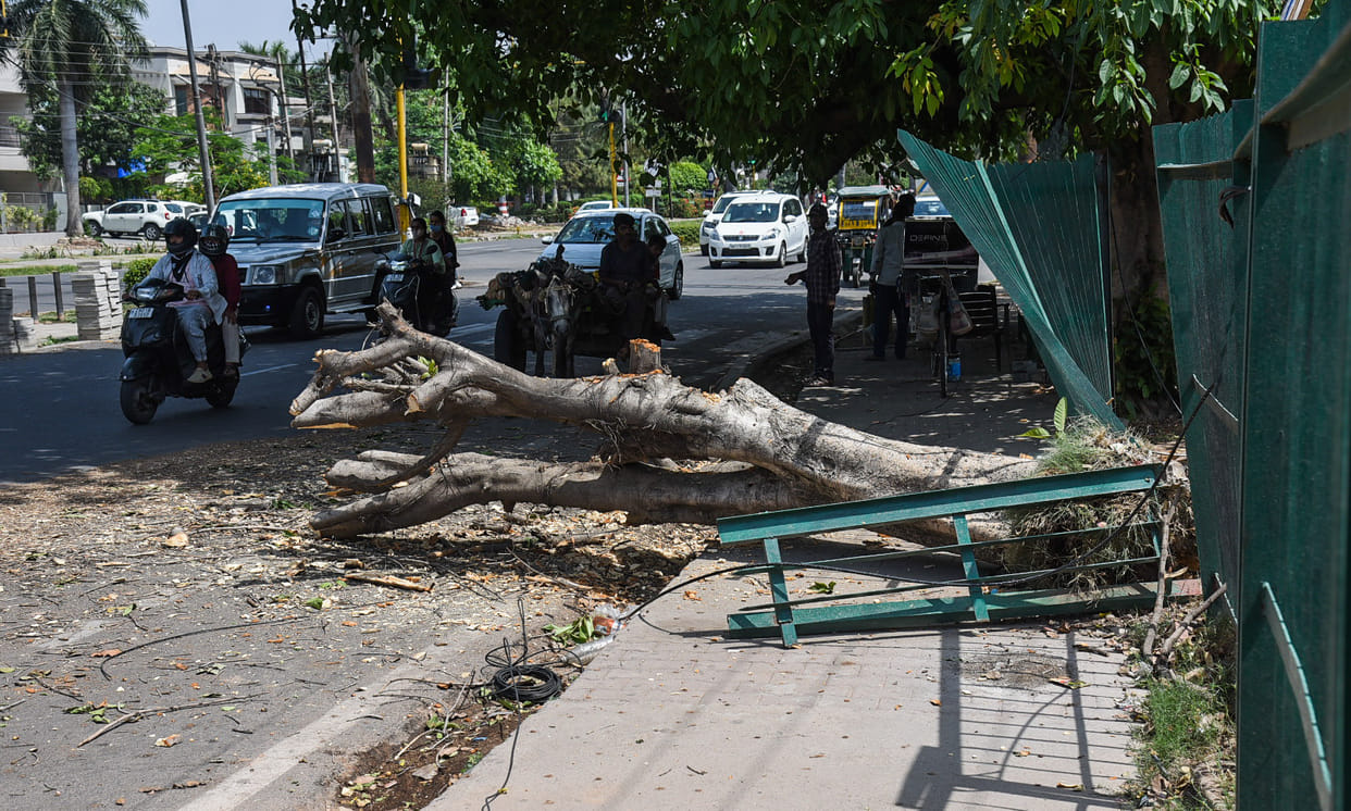 Hurricane havoc ... Trees uprooted, power remained closed, problems faced by drivers