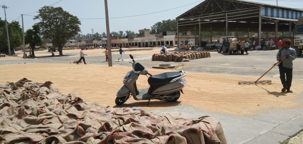 issued 36 licenses to the depot holders