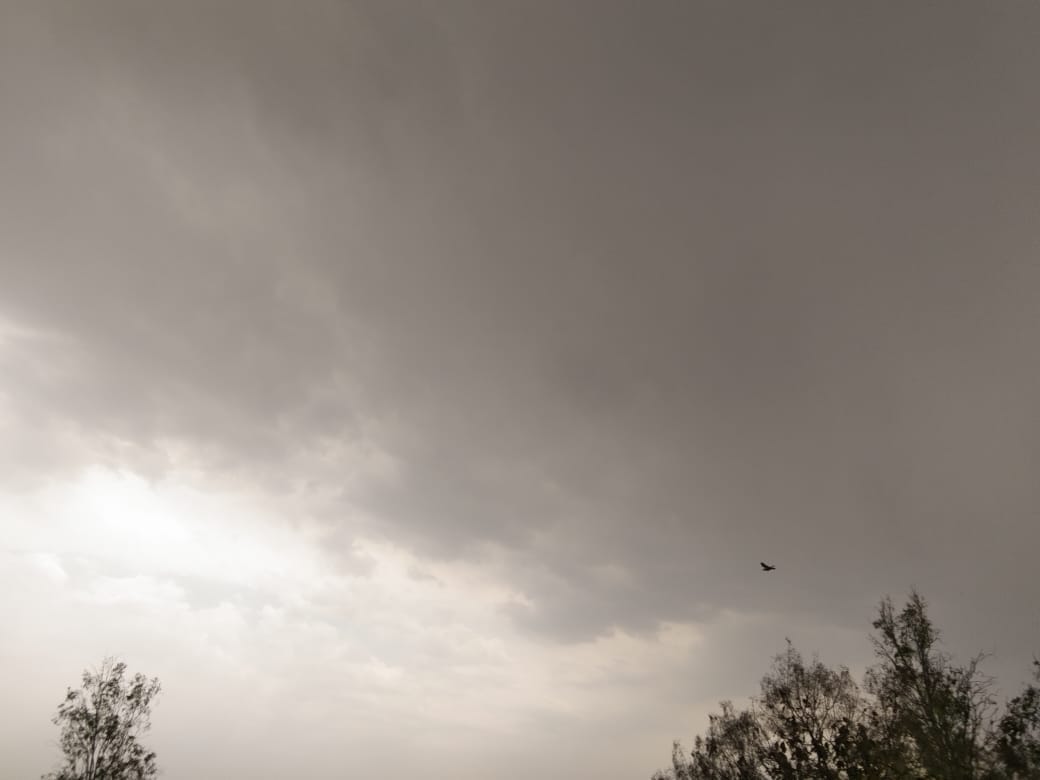 weather