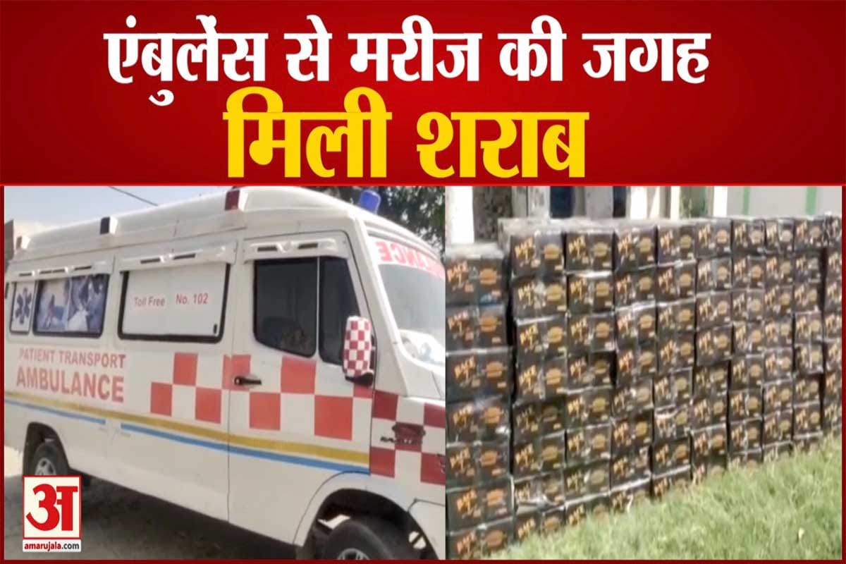अमरोहा