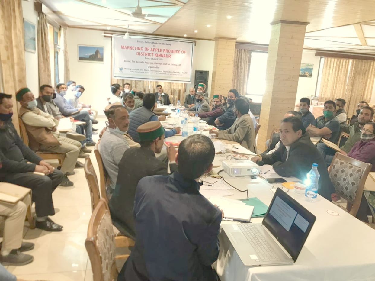 Apple gardeners made aware in Rampur, rampur bushar news