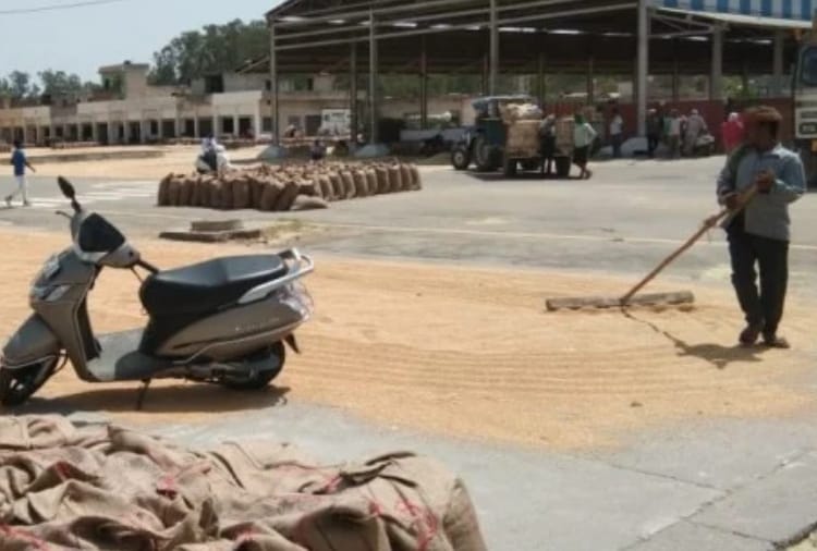 Haryana Government gave wheat procurement license to depot holders after Agents goes on Strike 