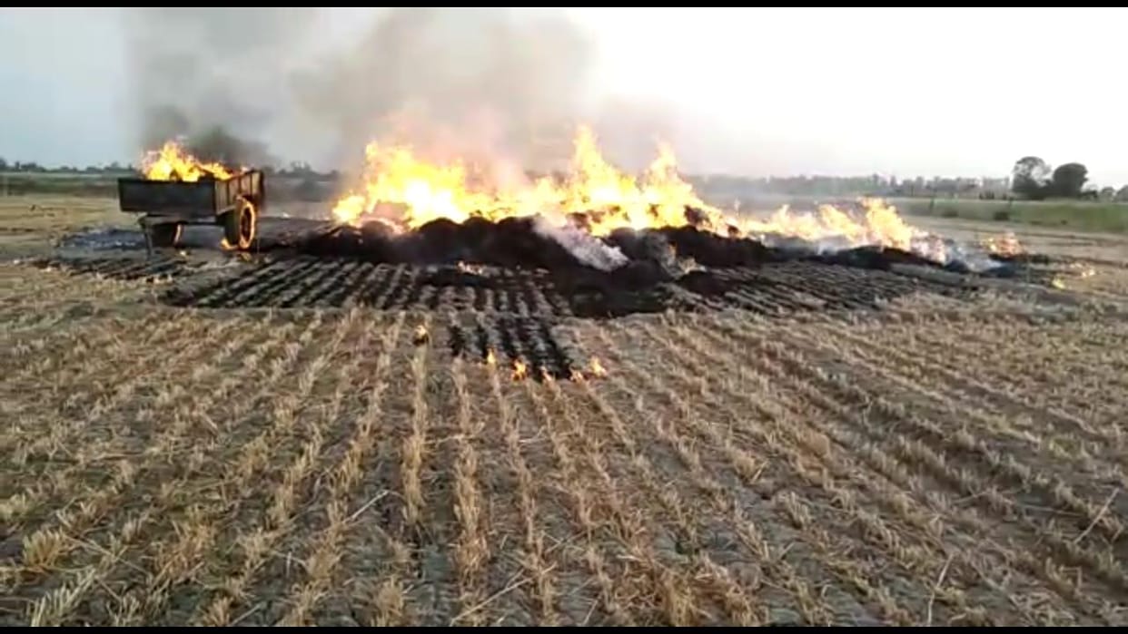 The tractor-trolley was also burnt along with the crop