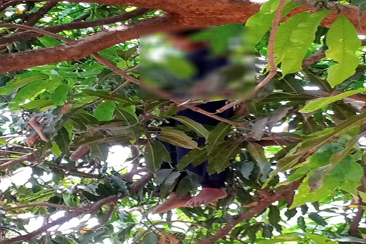 Dead body of girl found hanging from mango tree in Chandauli, missing from home