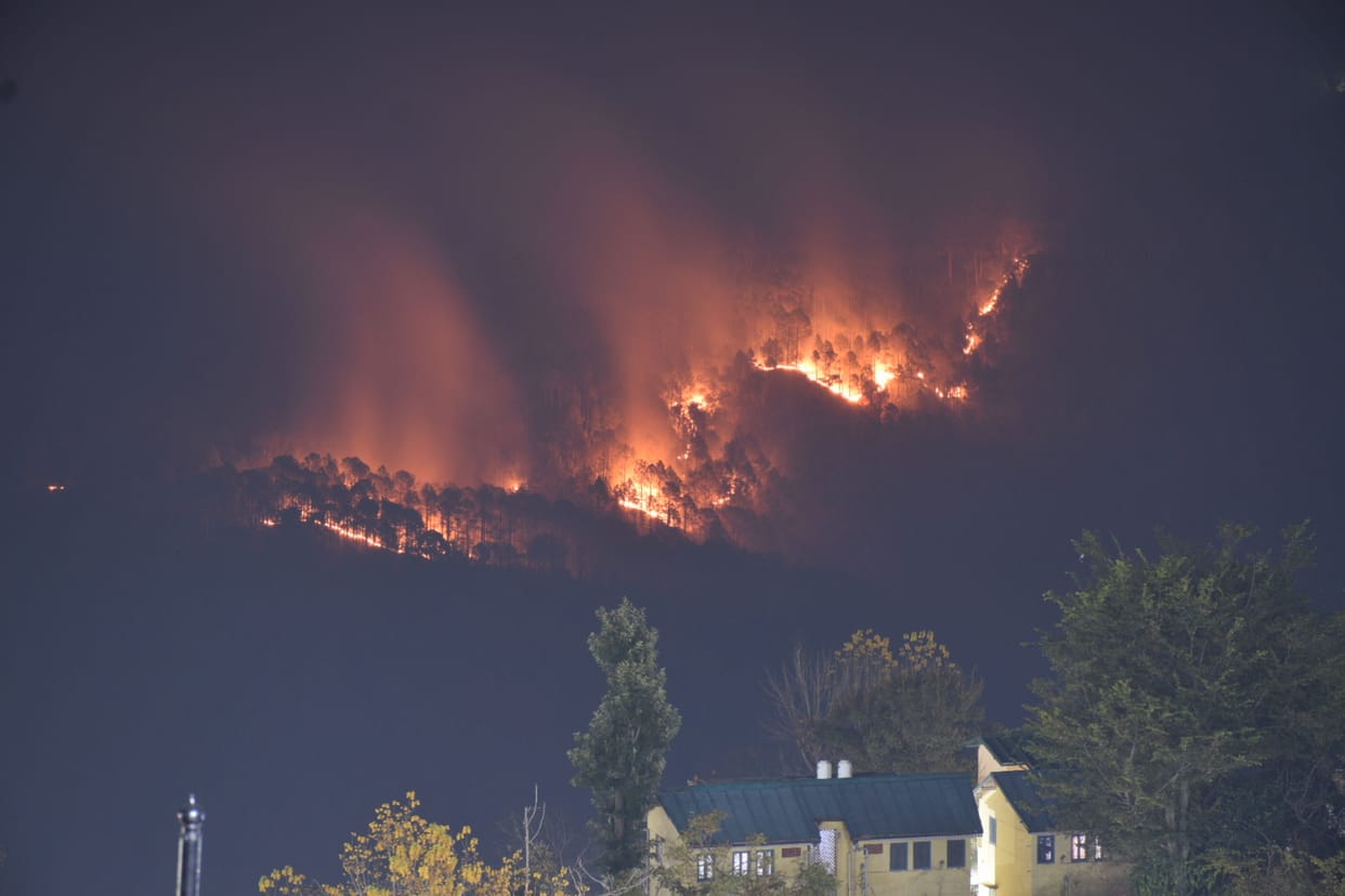 Pithoragarh is the worst in forest fire