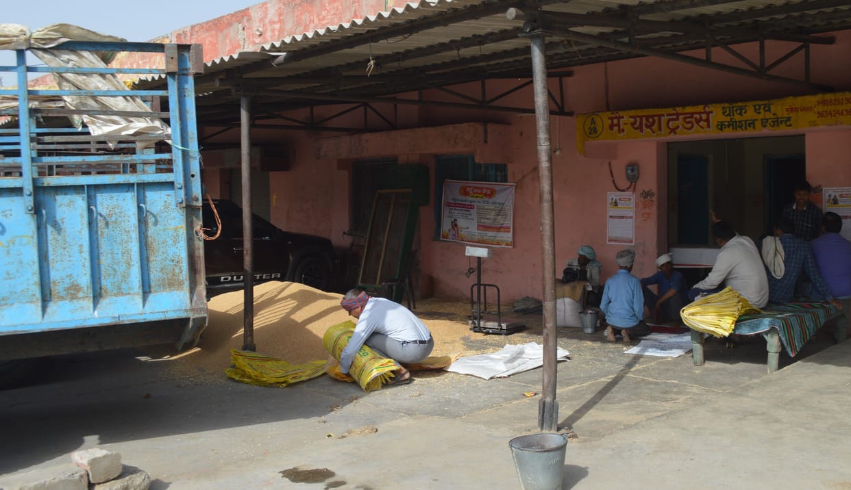 Hathras: Panchayat election halts wheat procurement speed