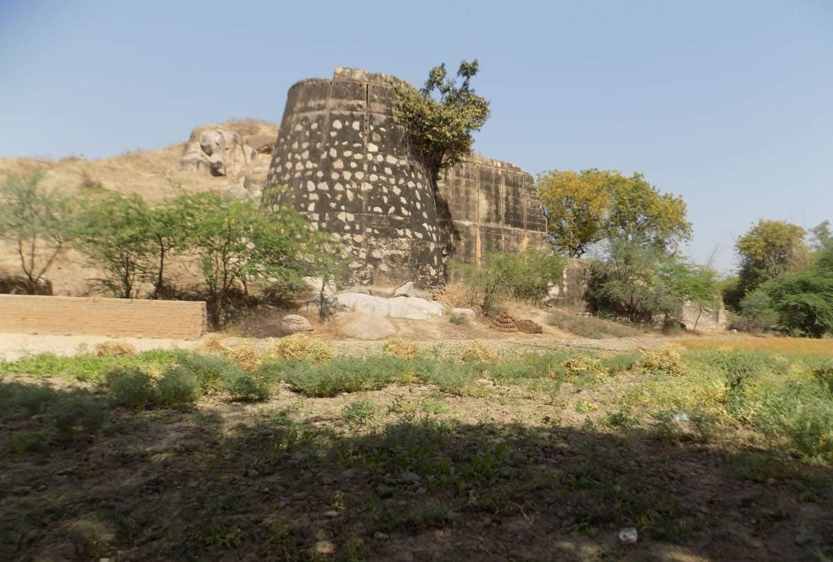 ancient human civilization history found in Hamirpur