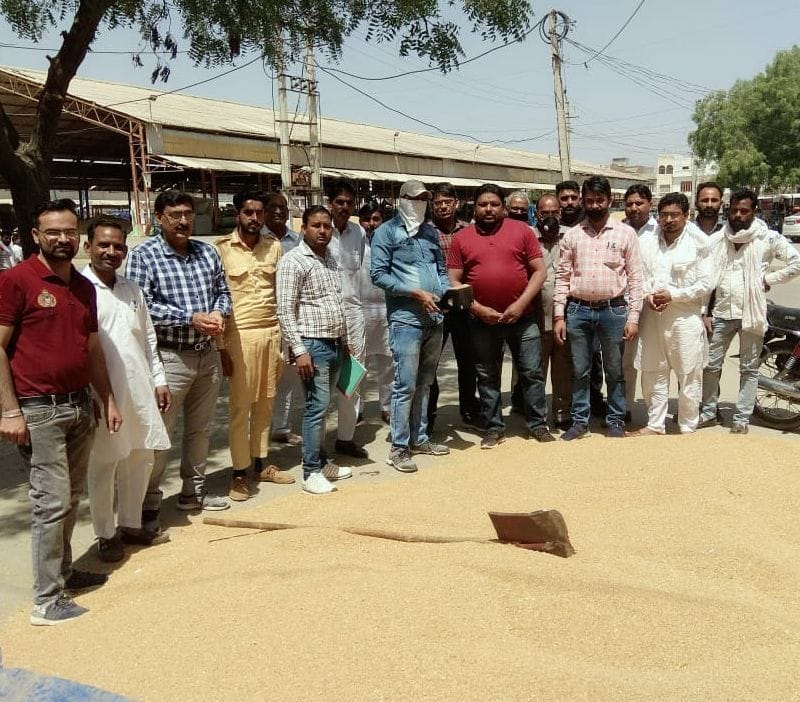 Wheat procurement started in mandis, incoming still low