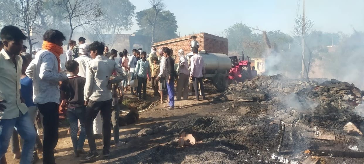 One-and-a-half bigha forests carelessly burnt