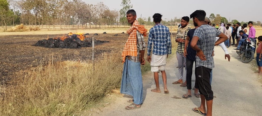 160 crop of wheat destroyed due to fire, burning wheat crop