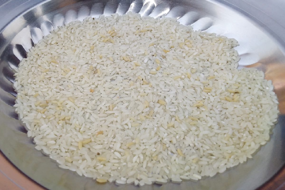 Fortified rice : Villagers demonstrated by saying plastic rice in Chandauli