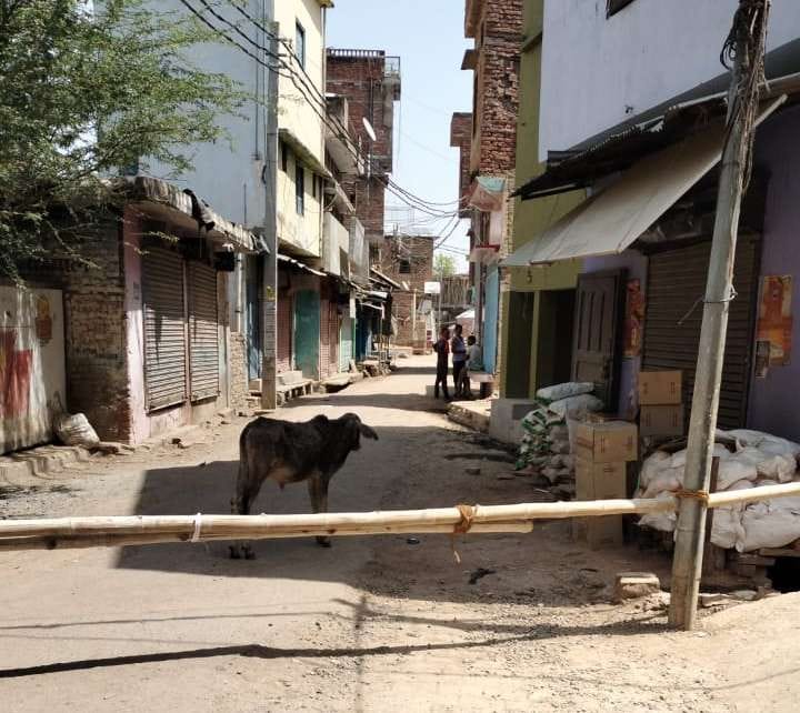 korona postive nikla bazar seel