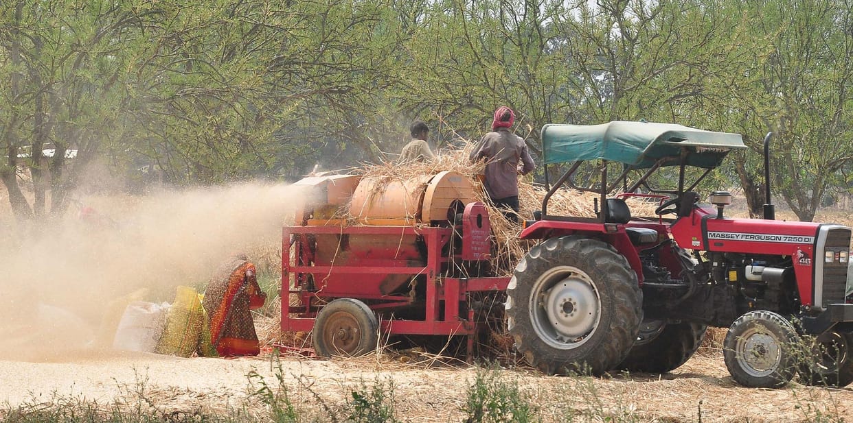 Cloudy sky, wheat crops hinder crisis