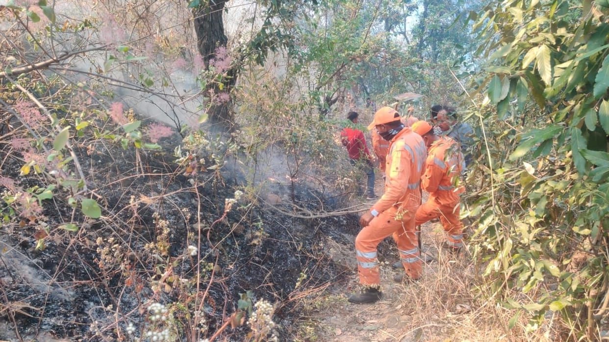 NDRF extinguished the fire in Jhutia village
