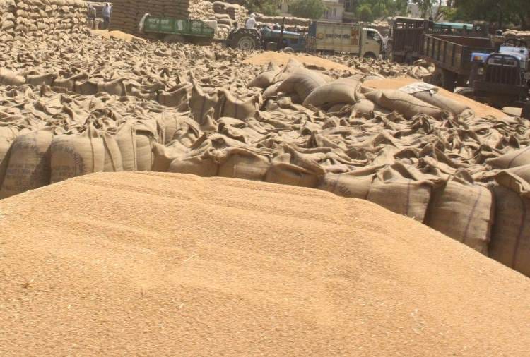 Wheat procurement start today in Punjab with Covid-19 norms