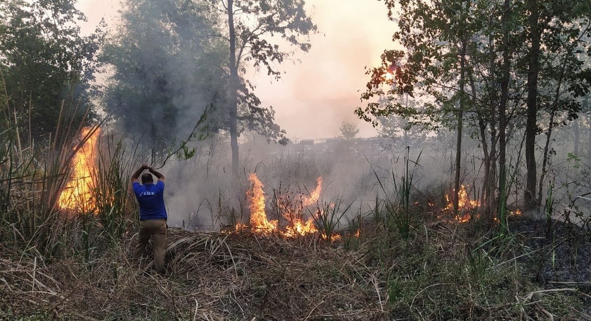 Sharda island and Thuligad forest fire, stirred up