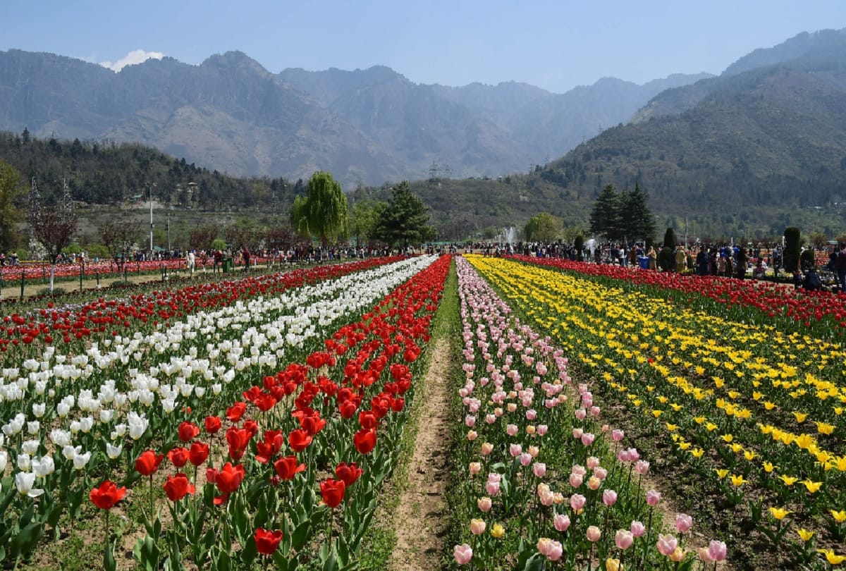 Jammu kashmir News : To promote tourism in Jammu and Kashmir festival from today