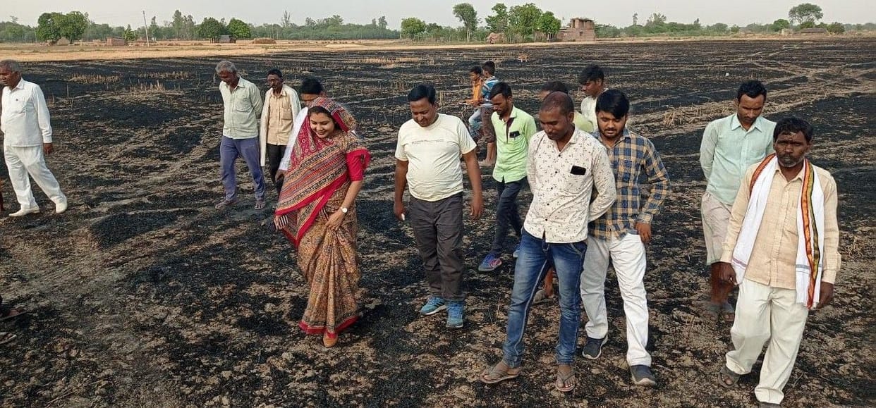 31 bigha wheat crop burnt by fire