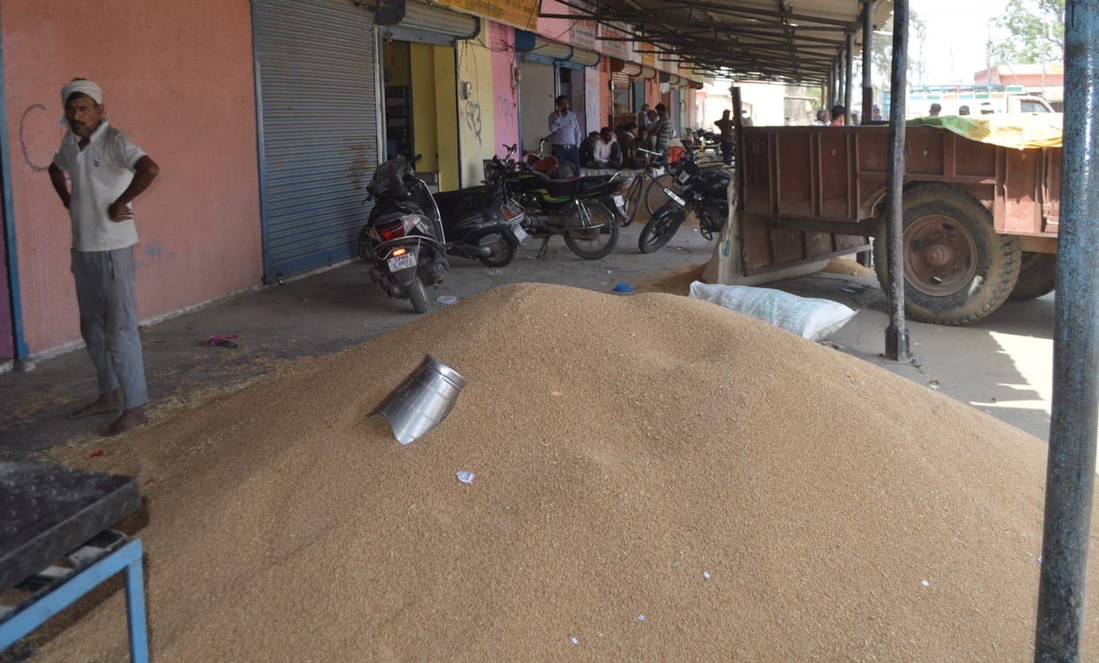Hathras: Wheat failing at purchasing centers is being sold here
