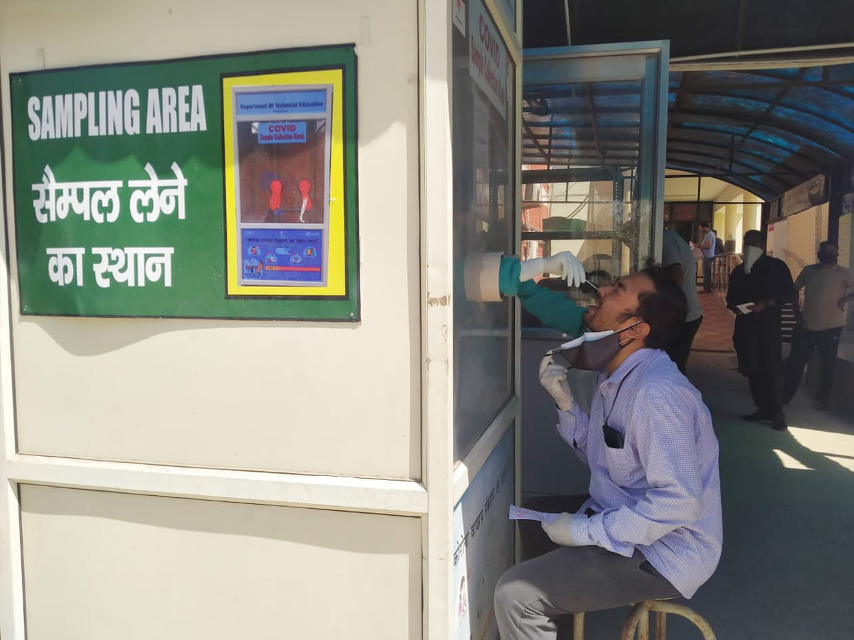 123 found corona inefcted in ambala