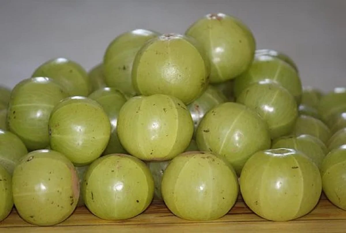 health benefits of amla for skin and diabetes