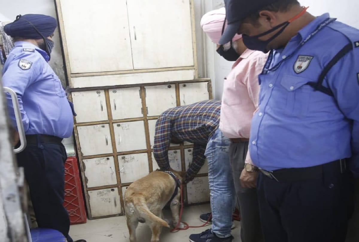 Security guard steals Rs 4.40 crore in bank at Chandigarh