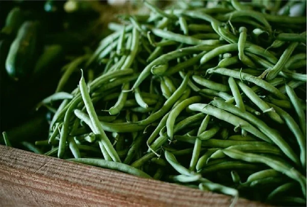diet tips for diabetes 5 food items that diabetic patient should eat