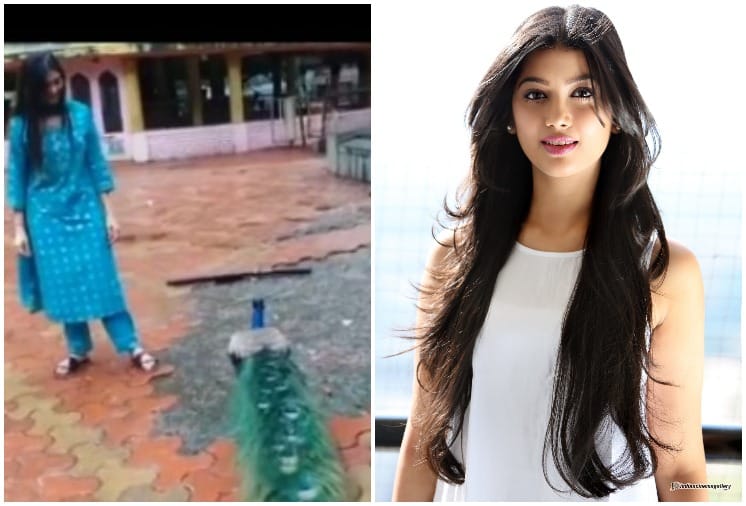 Ex Bigg Boss Contestant Digangana Suryavanshi attacked by peacock, Video Goes Viral
