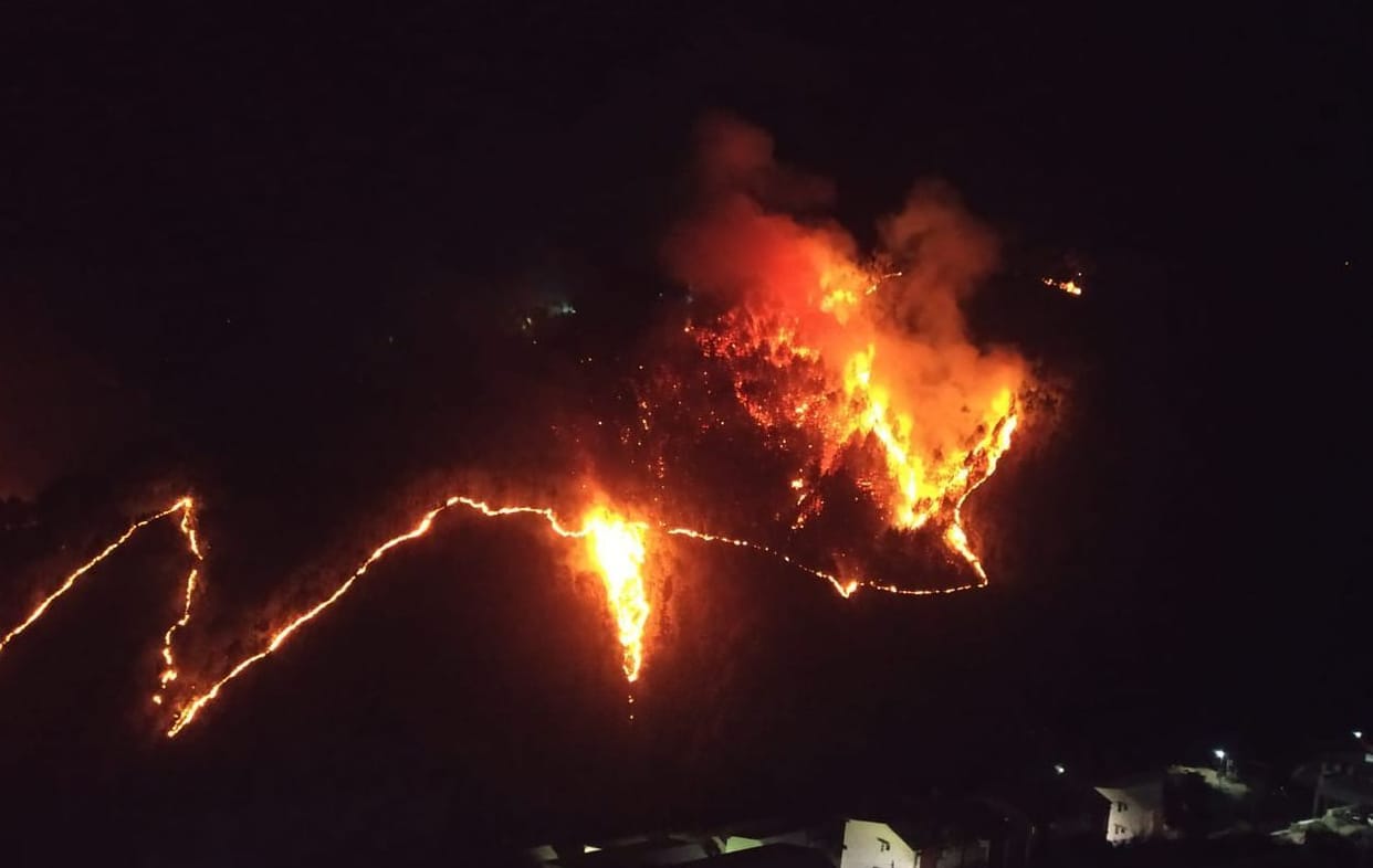 Fire erupted in the forests of Budogi