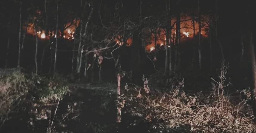 Fire in the forest near Siddhbali temple in Kotdwar range