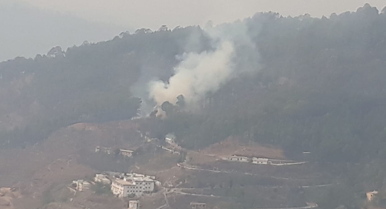 Forest Fire in Almora