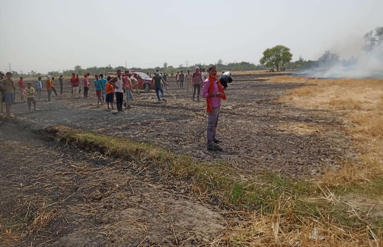 fire in wheat crop in ballia