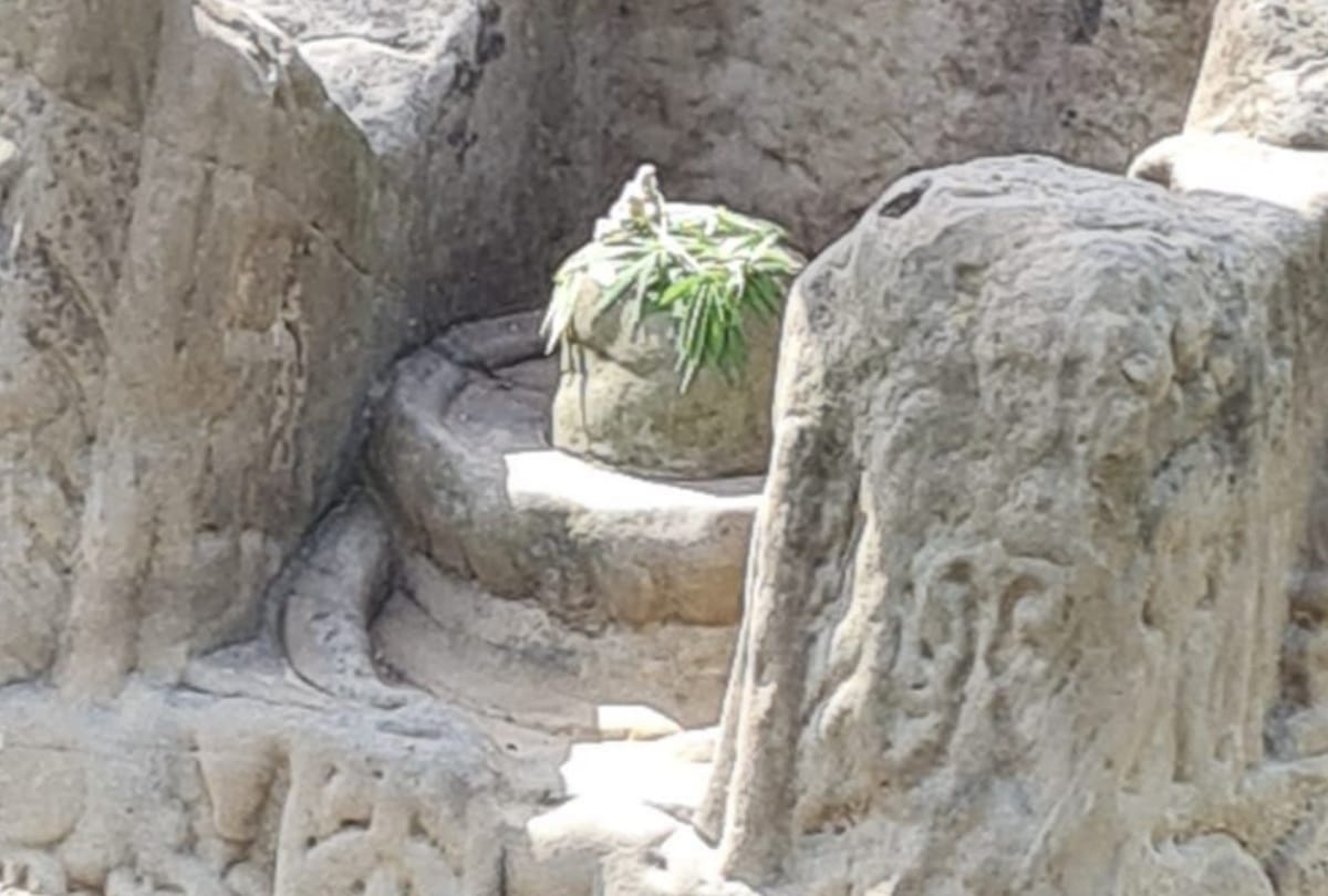 Himachal News: Centuries Old ShivLing Found In Mandi near Bear river
