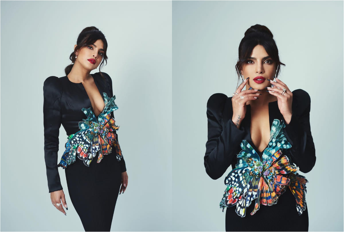 priyanka chopra in attractive bikni look in hindi