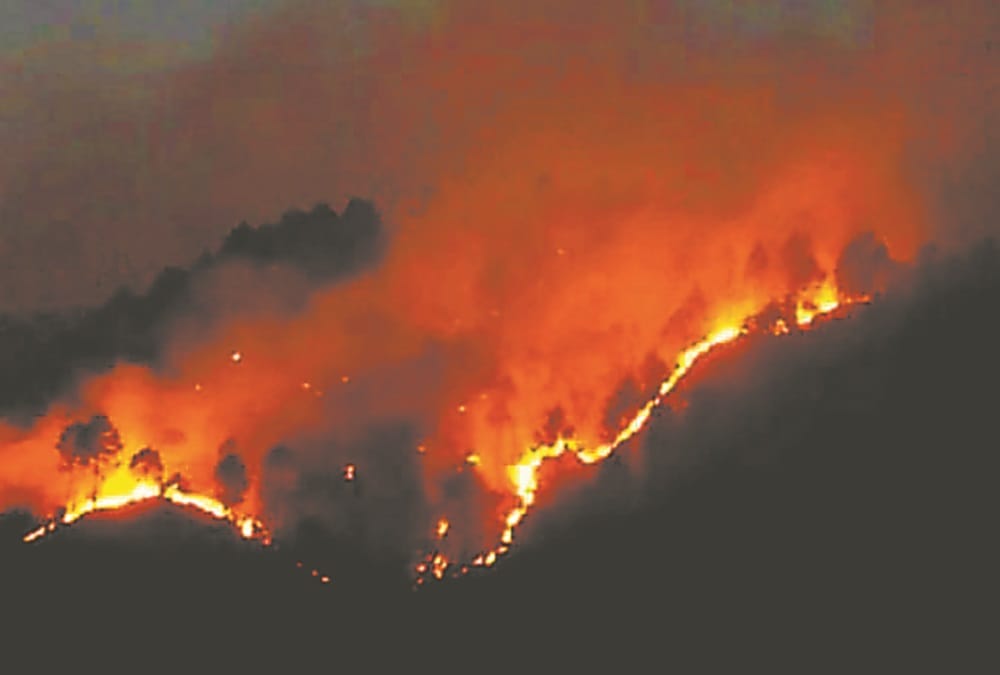 Uttarakhand Wildfire News Today: 133 hectares of forest burned in 24 hours