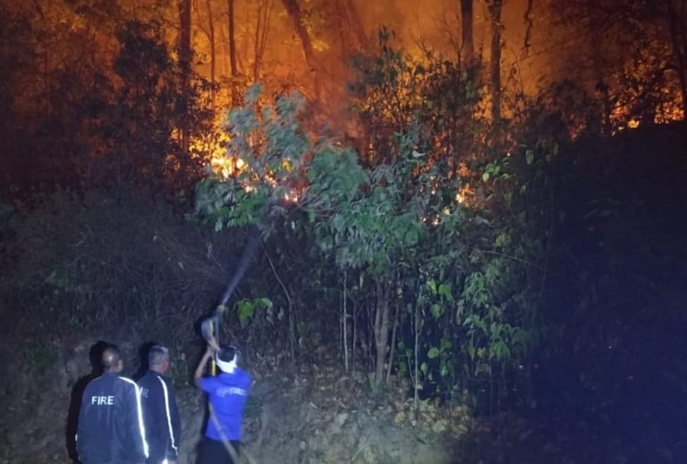 Uttarakhand News: Wildfire increased again, 160 hectares forest area burnt in a single day, photos