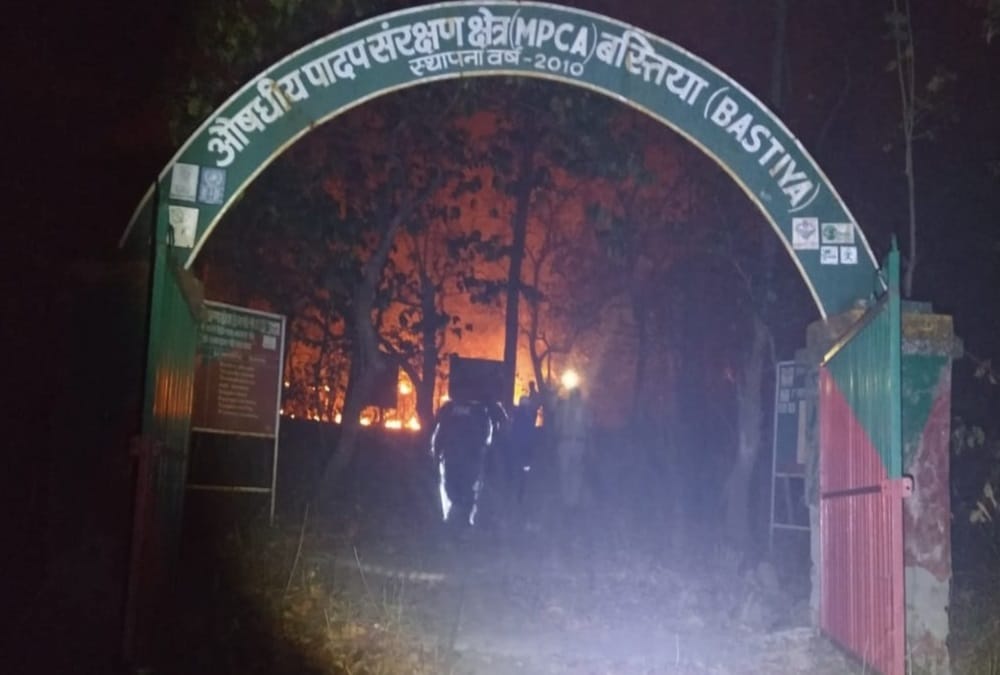 Uttarakhand News: Wildfire increased again, 160 hectares forest area burnt in a single day, photos