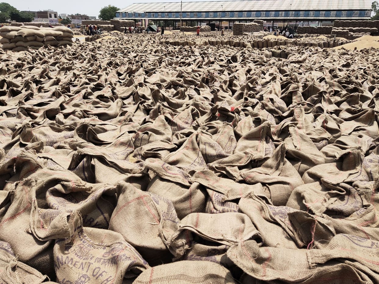 Slow lifting, market filled with two lakh sacks of wheat in Panipat