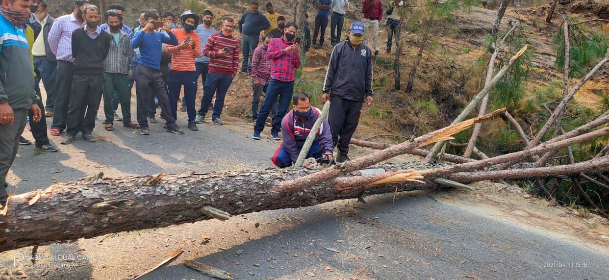 tree fell on th NH after getting damaged by forest fire