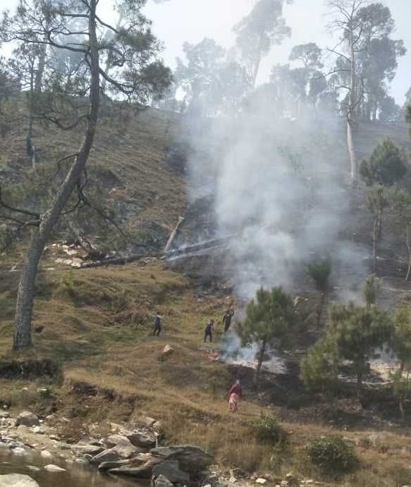 The process of fire in the forests is not stopping