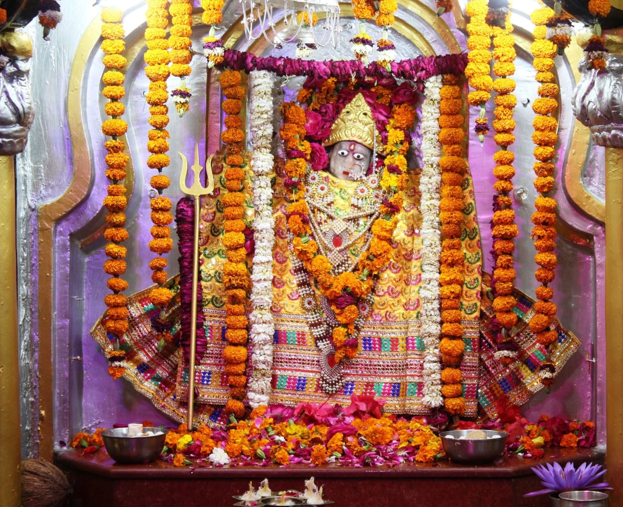 Mother Shailputri worshiped