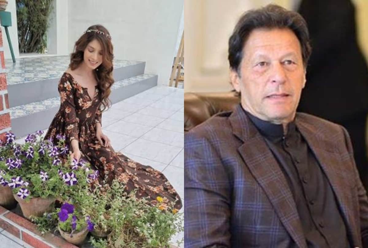 Kaptaan film actress saeeda imtiaz share her bikini looks users trolled her