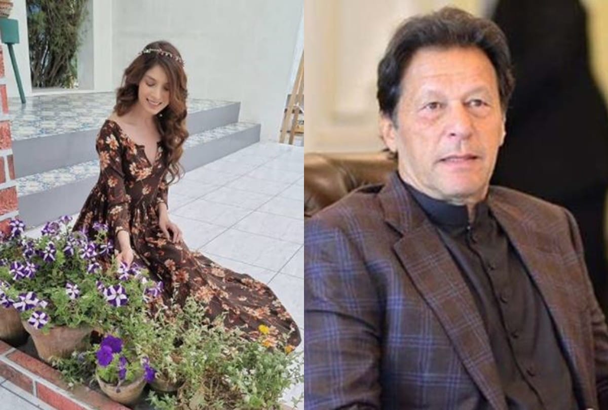 Kaptaan film actress saeeda imtiaz share her bikini looks users trolled her