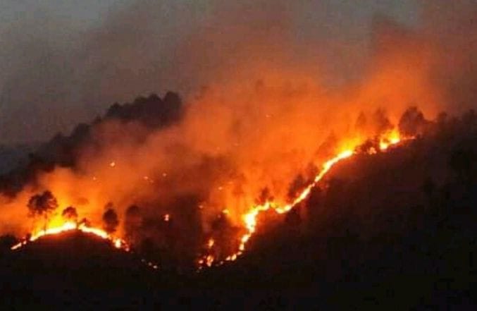 Fire erupted in forests of many places including Quairala Valley, Majhera