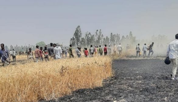 fire on crop