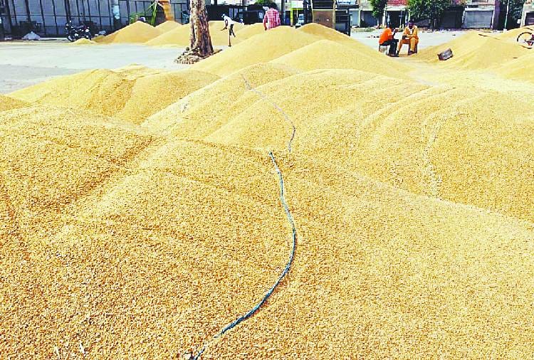 Punjab Farmers Worried by direct payment system of crop