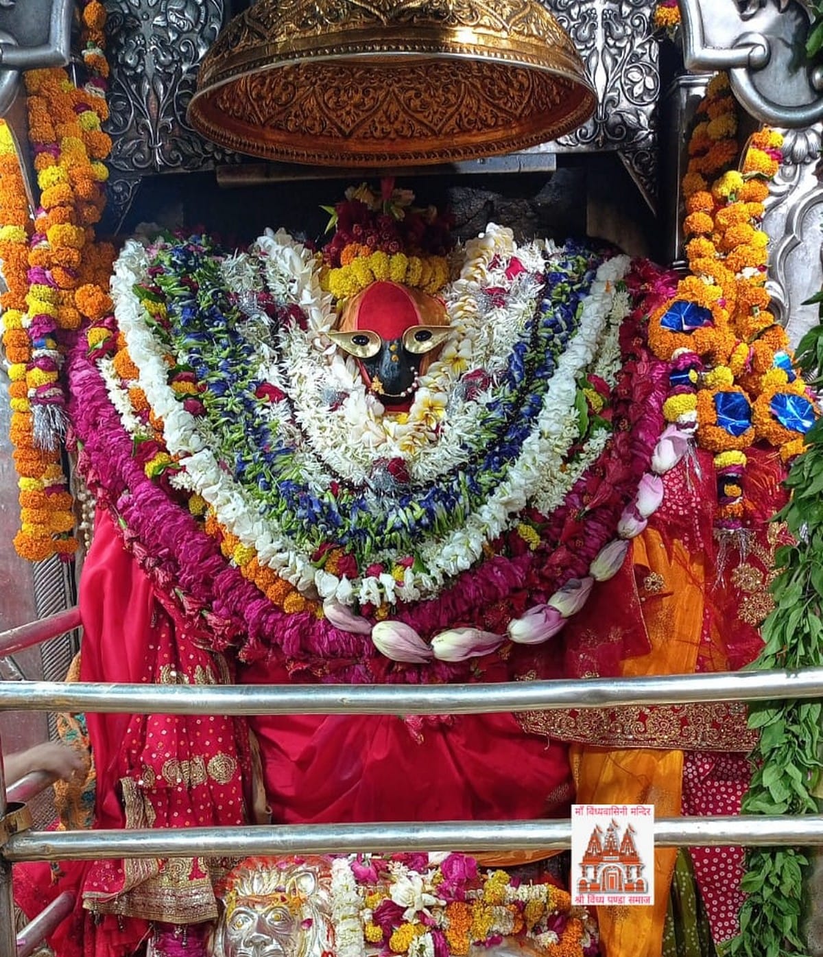 devotees reached and visit maa vindhyavasini mandir worshiped at first navratri in mirzapur