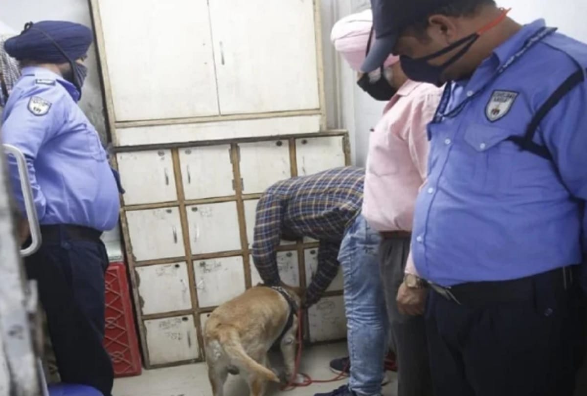 chandigarh News : Four thousand rupees in the account of four crore theft accused