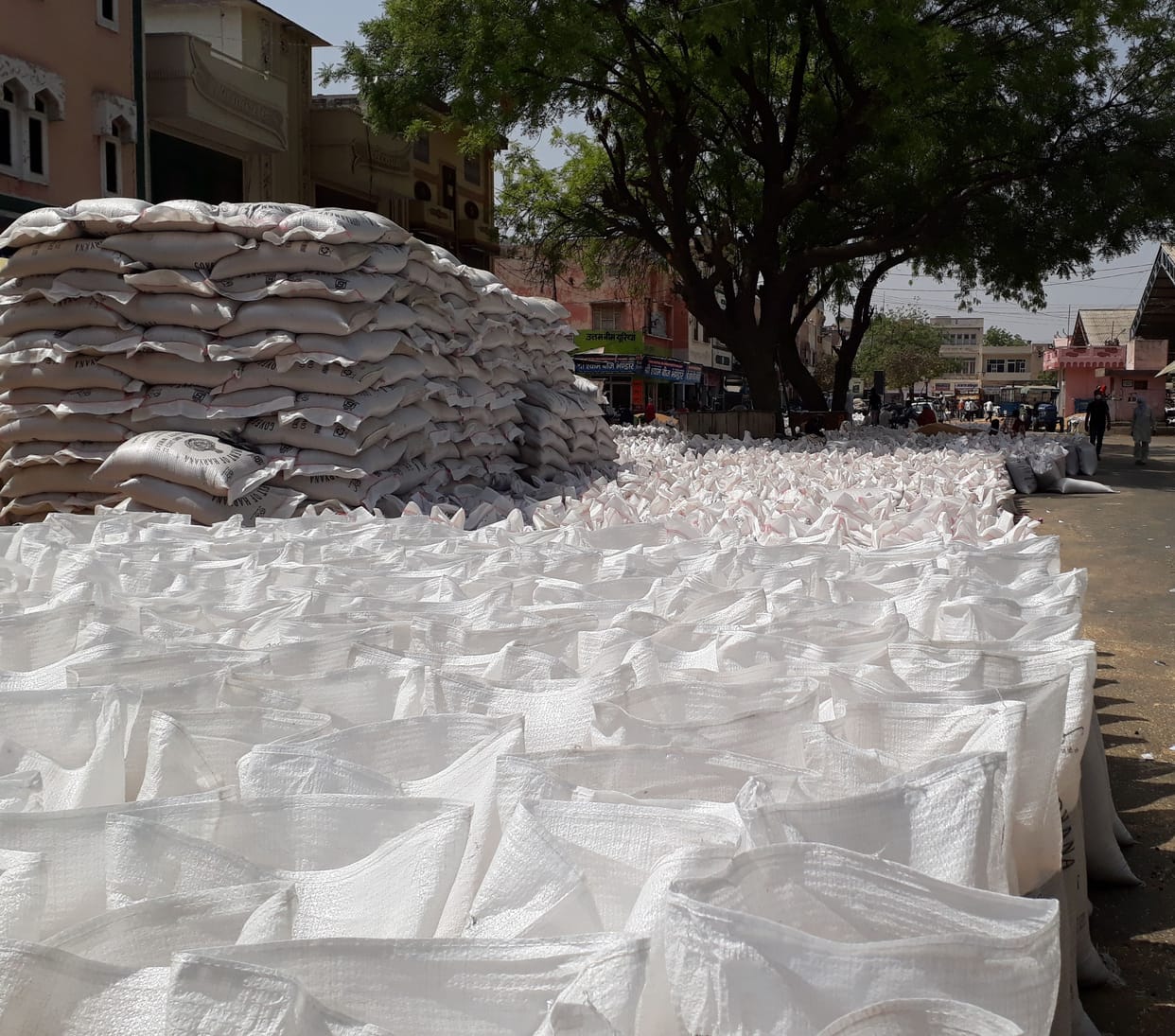 Two and a half million bags of unrefined wheat, no lifting of wheat