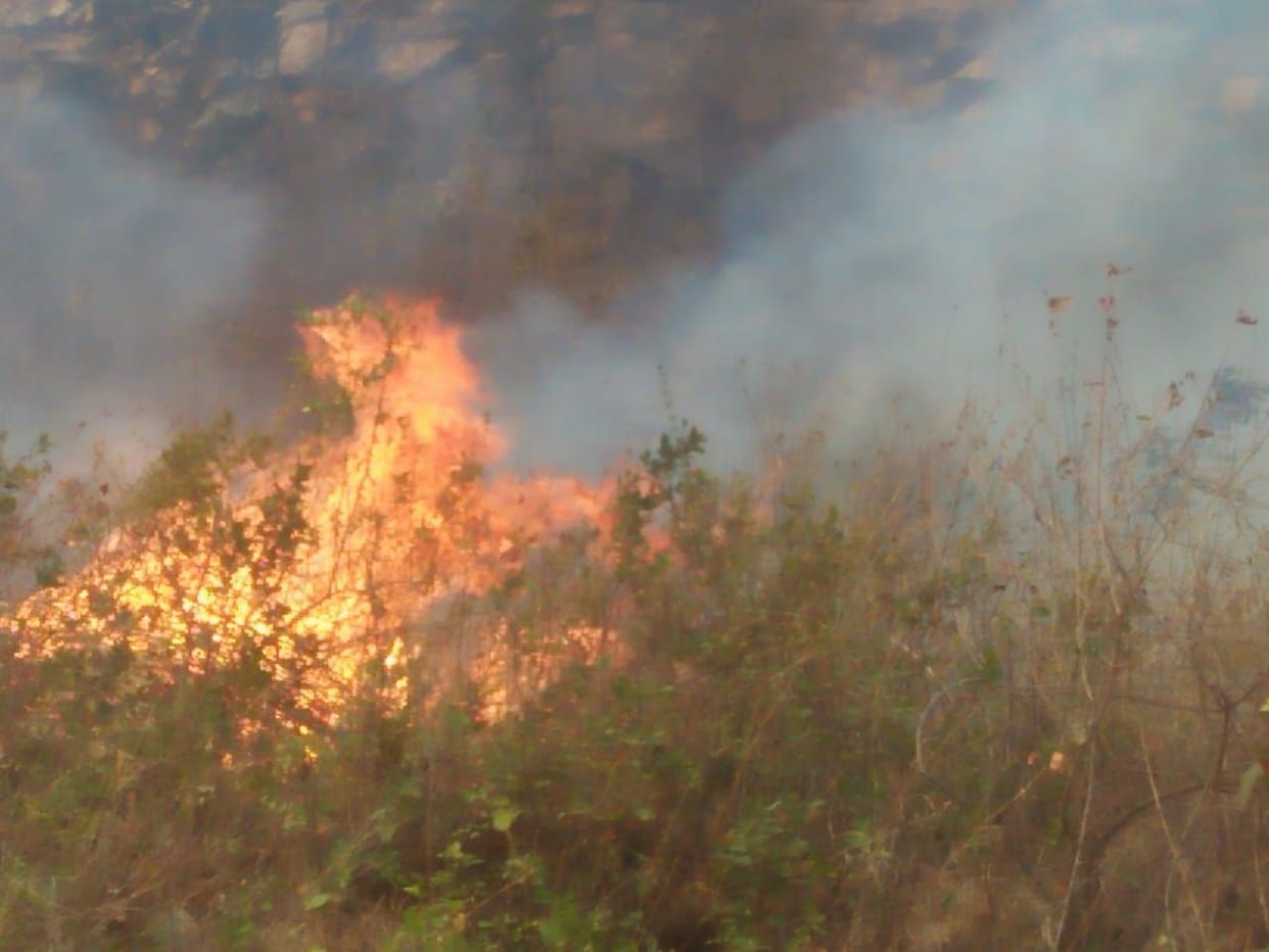 Burning forest adjacent to gas godown